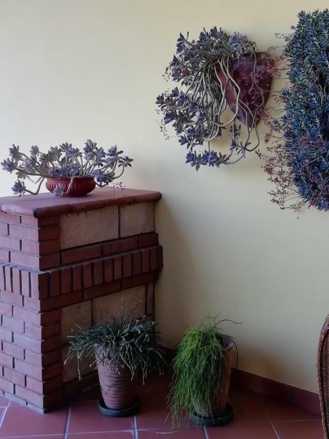 Il Melograno Bed & Breakfast Calitri Luaran gambar